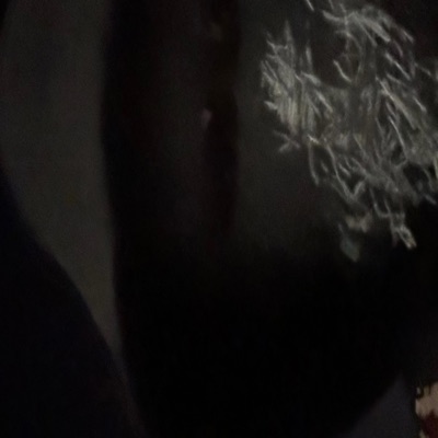 You shot (feat. MeechGeek) - Single