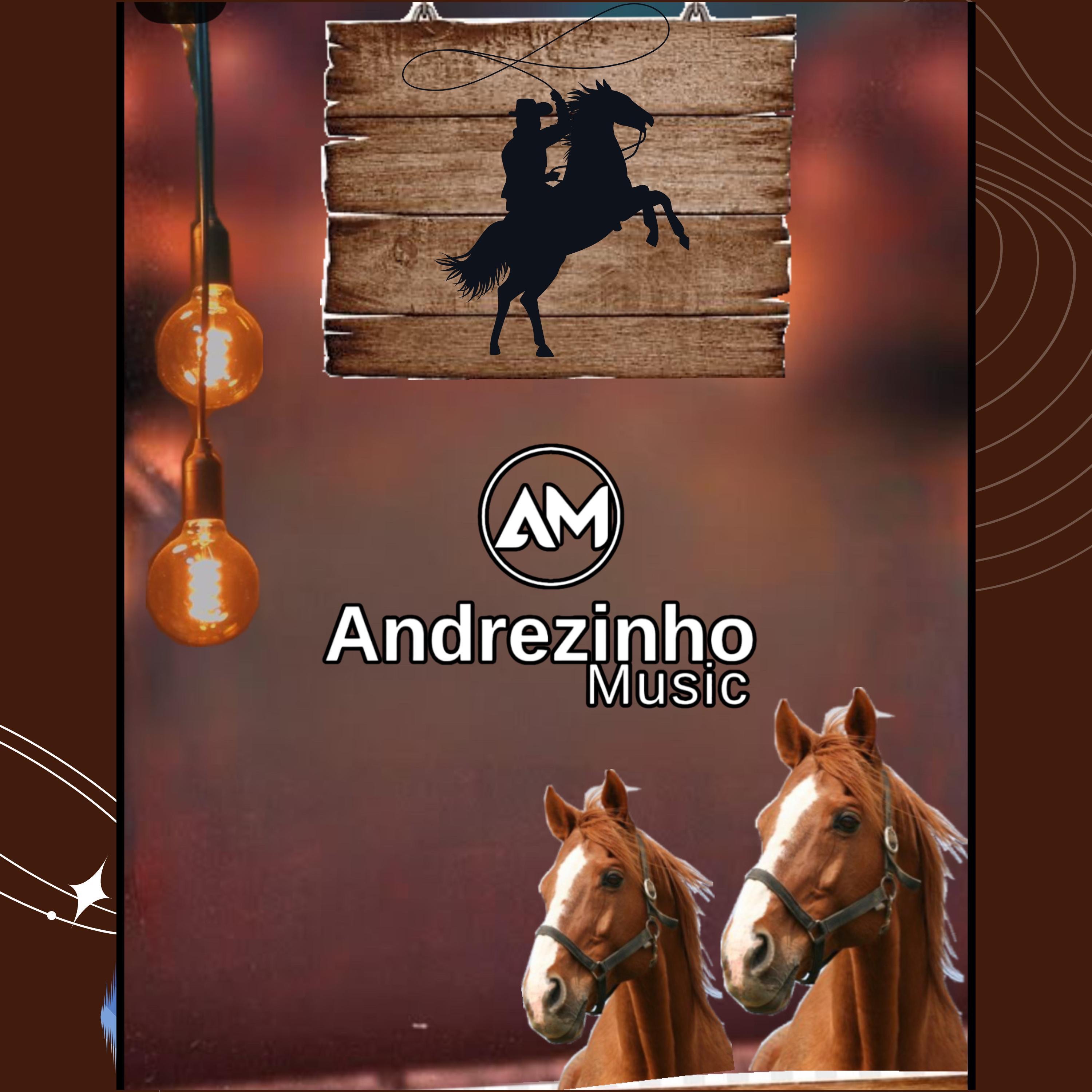 Só Penso em Vaquejada - Single