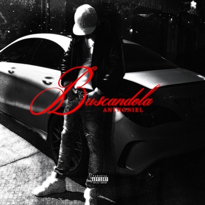 Buscandola (feat. Yungn9in) - Single