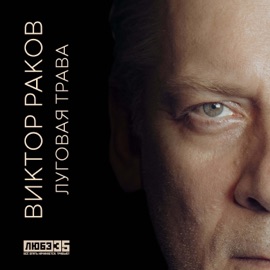 Луговая трава (Любэ 35. Всё опять начинается. Трибьют) Viktor Rakov