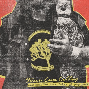 And Still the Mick Foley of Pop Punk - Single