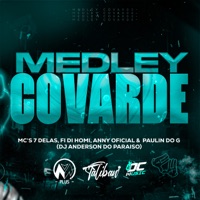 Medley Covarde (feat. MC Paulin do G & Mc Anny Oficial) - Single - Dj Anderson do Paraiso, Mc 7 delas & Fi do Homi