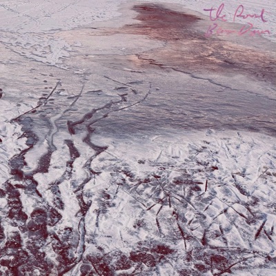 The Sound Bears Down - Single