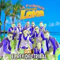 Porque Te Extraño
