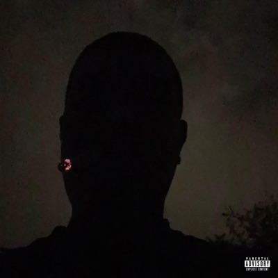 nevarnevarnevar? - Single