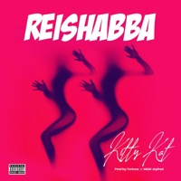 Kitty Kat - Single - Shabba