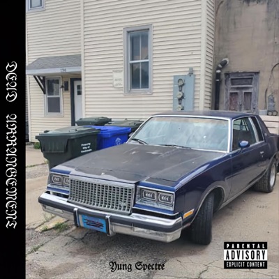 Dead Arrangement - Single