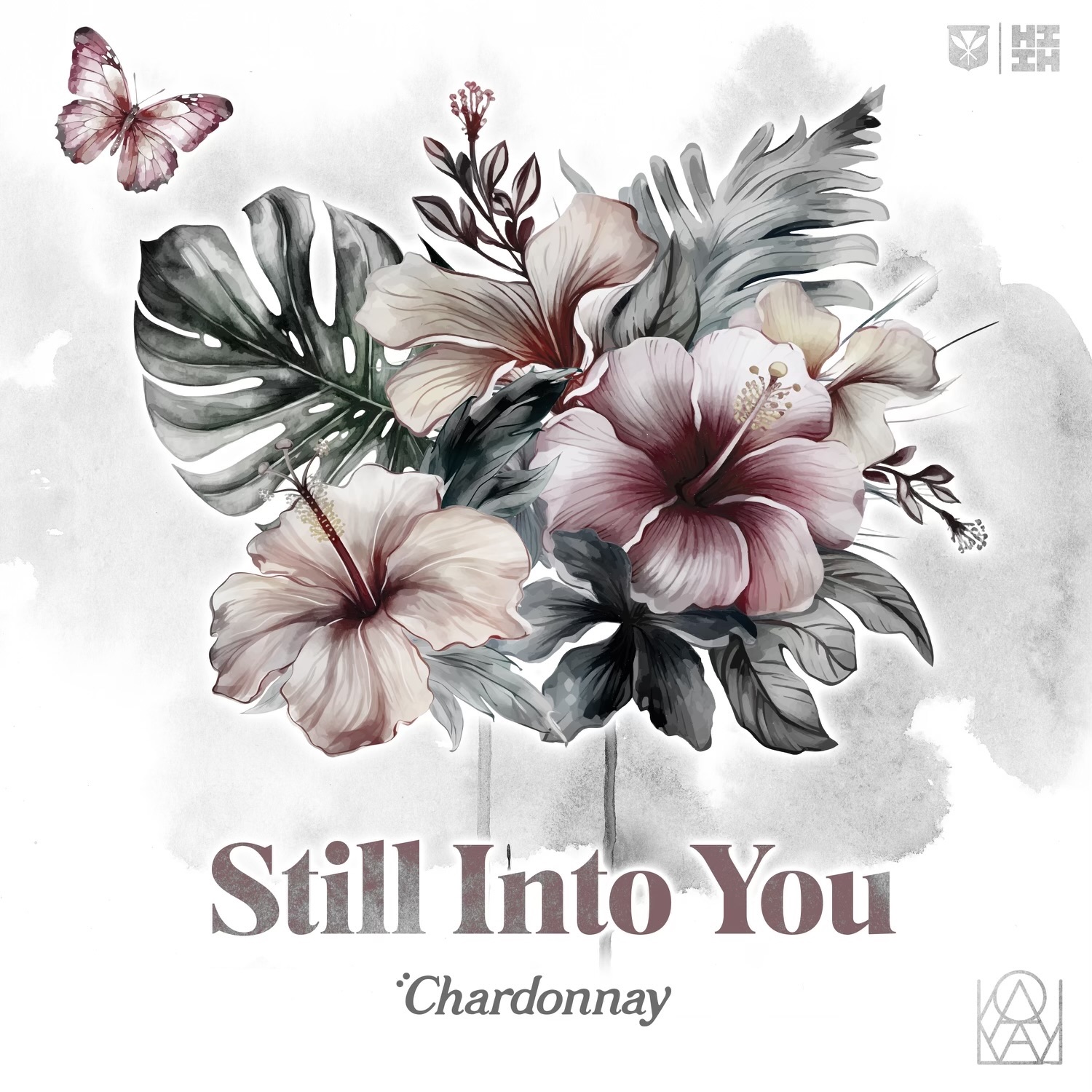 Still Into You - Single
