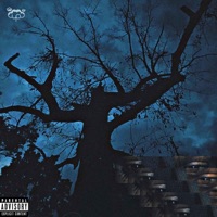 i'll make em need me - Single - irie