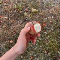 Ты любил - Single - hehehe