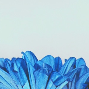 Welcome To Wonderland (Instrumental) - Single