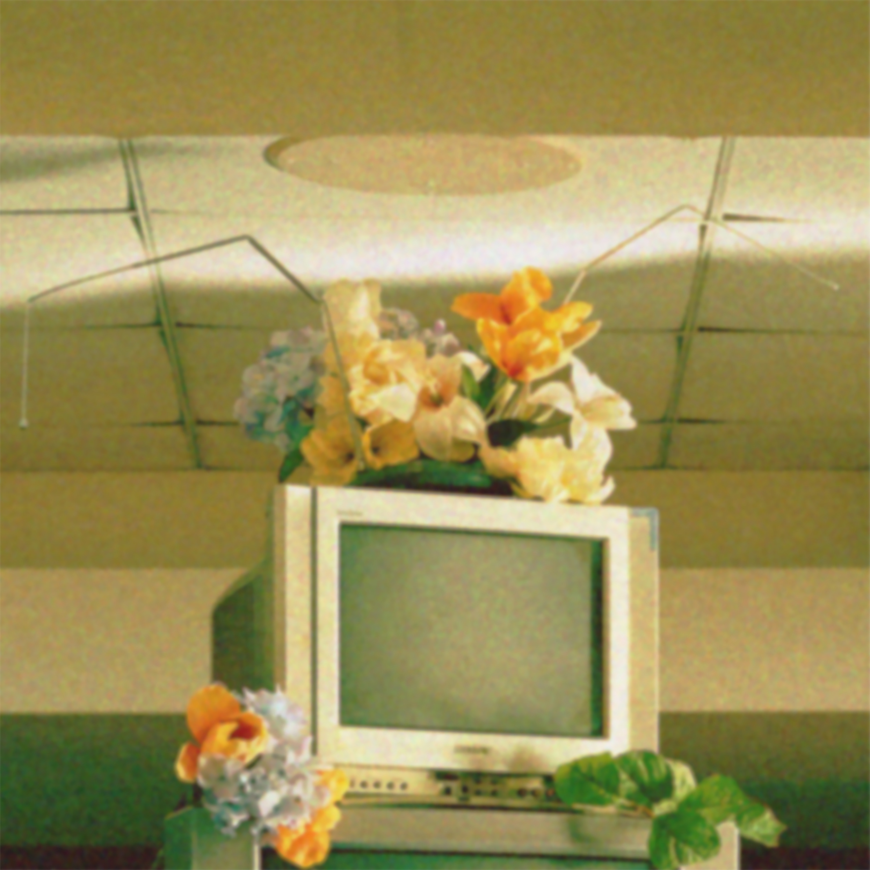 Oh Friend Entropy - Single