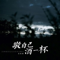 敬自己酒一杯 - Single - Yuhan Jiang