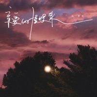 亲爱的慢慢来 - Single - 向思思