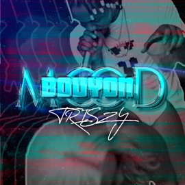 Bouyon Mood TriSzy