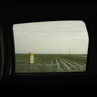 Dientes - Single - Bernal