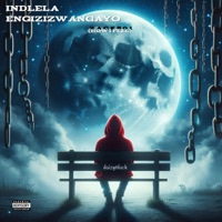 Indlela Engizizwangayo (feat. Daizy 6lack) - Single - Zack501