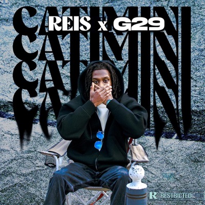 Tout ça (Catimini) (feat. G29) - Single