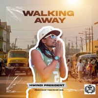 Walking Away (feat. Hwindi President) - Single - Tman Mount Zion