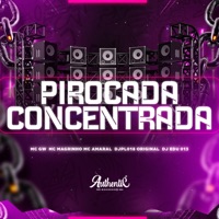 Pirocada Concentrada (feat. Mc Magrinho, MC GW & MC Amaral) - Single - DJPL018 ORIGINAL & DJ Edu 013