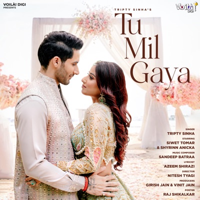 Tu Mil Gaya - Single