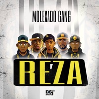 REZA (feat. Molexado Gang) - Single - Dist Music AO