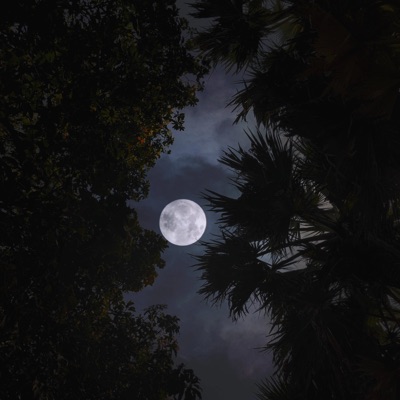 Don't Believe Everything You Hear. - Single