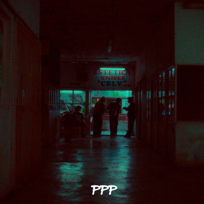 PUÑOS PULSERAS Y PALETAS - Single