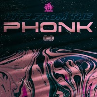 Hits From The Phonk (feat. Someday, Boman, kidfrmz6 & Jorge Vigilante) - Single - Damokrasya