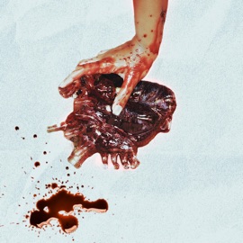 GLASS Akshara & Avara