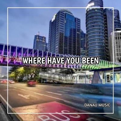 DANZZ MUSIC - WHERE HAVE YOU BEEN