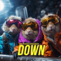 Down - Single - Fyex, PET3RPUNX & Hyper Hamster