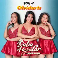 DALIA AGUILAR Y SUS OJITOS HECHICEROS — VOY A OLVIDARTE