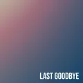 Last Goodbye