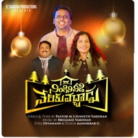 NINGINI VEEDI NELAKU VACHADU (feat. Jakie Vardhan) - Single - M.S.Suneeth Vardhan