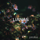 Jatoba (Noise)