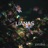 Jatoba (Noise)