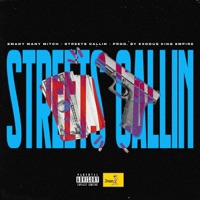 Streets Callin - Single - 2many Many Mitch