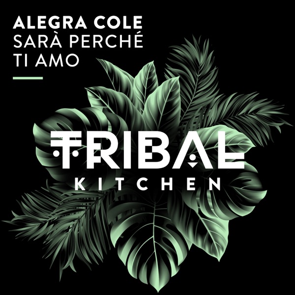 Sarà Perché Ti Amo - Single