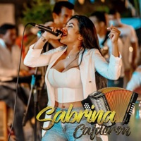 Cuando Casi Te Olvidaba - Single - Sabrina Calderón
