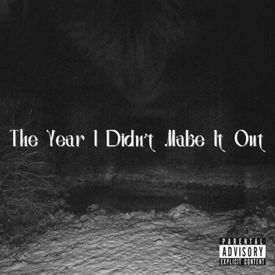 The Year I Didn't Make It Out