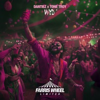 WYD - Single - Dantiez & Tone Troy