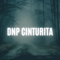 Cinturita (feat. La Rana En El Beat) - Single - Dnp el Dment Musical