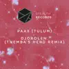 PAAX (Tulum) - Djorolen (Themba's Herd Remix)
