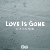 Love Is Gone (Cover) artwork