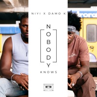 Nobody Knows - Single - Niyi & Damo K