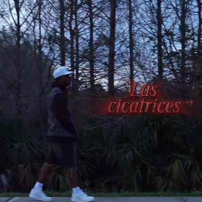 Las cicatrices - Single