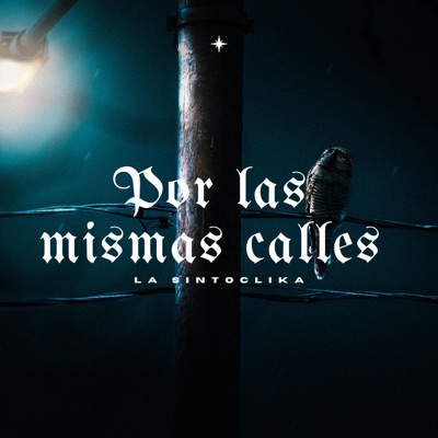 Por las mismas calles - Single