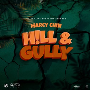 Hill & Gully - Single