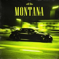 MONTANA - Single - Anıl Topçu & Pengu